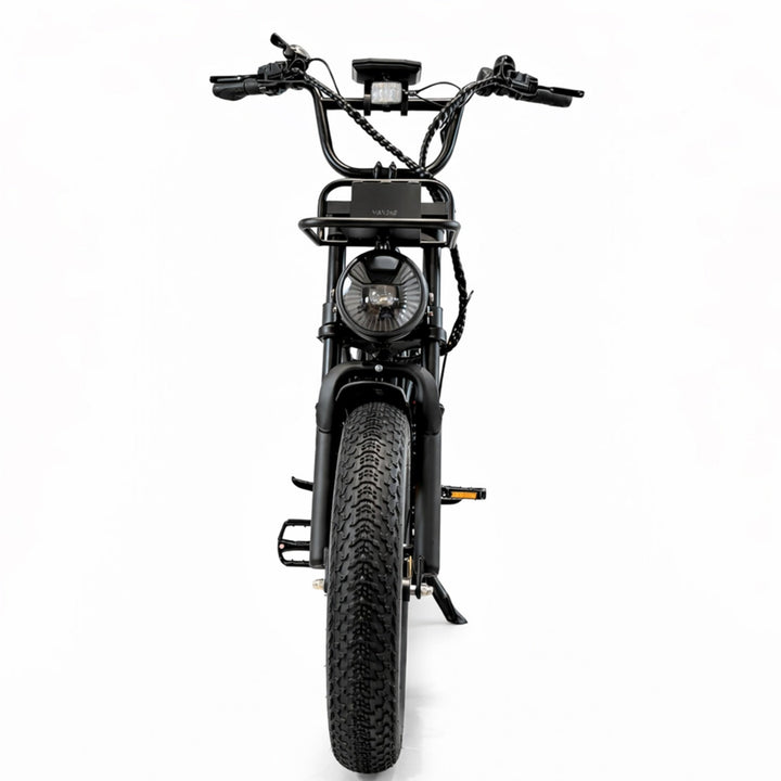 PIXAR® M9 Retro - E - Bike 25 km/h Elektrofahrrad 250W 240 km Reichweite - E - NRGY