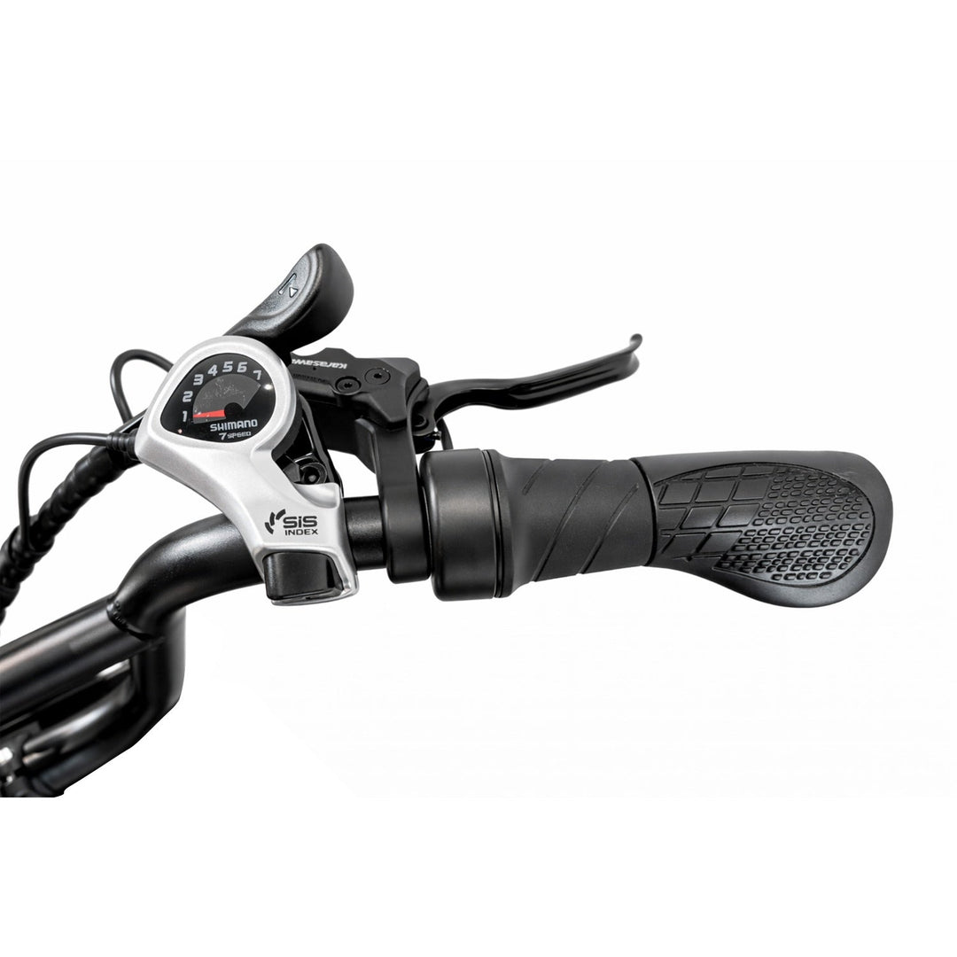 PIXAR® M9 Retro - E - Bike 25 km/h Elektrofahrrad 250W 240 km Reichweite - E - NRGY