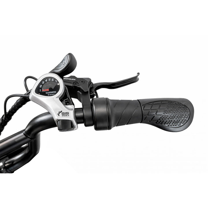 PIXAR® M9 Retro - E - Bike 25 km/h Elektrofahrrad 250W 240 km Reichweite - E - NRGY