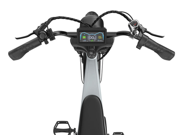 PIXAR® M9 Retro - E - Bike 25 km/h Elektrofahrrad 250W 240 km Reichweite - E - NRGY